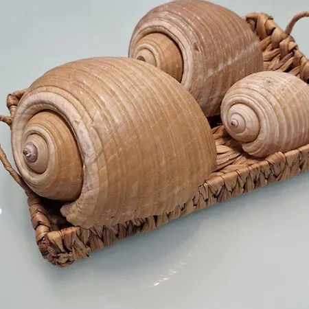 Daire Step 2 Sky Split